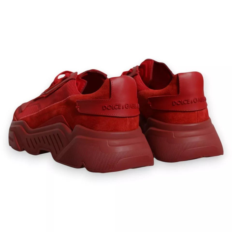 Chaussures sneakers basses rouges en cuir Dolce & Gabbana Daymaster, vue de face, avec semelle blanche et design élégant.