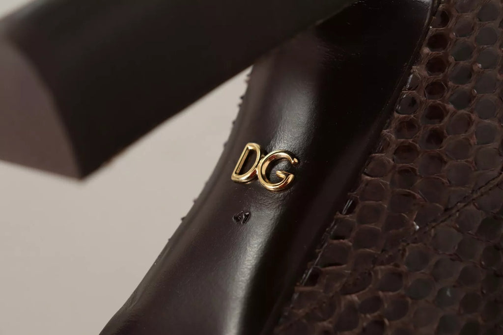 Escarpins et bottes hautes en cuir exotique marron de Dolce & Gabbana, chaussures élégantes pour femme.