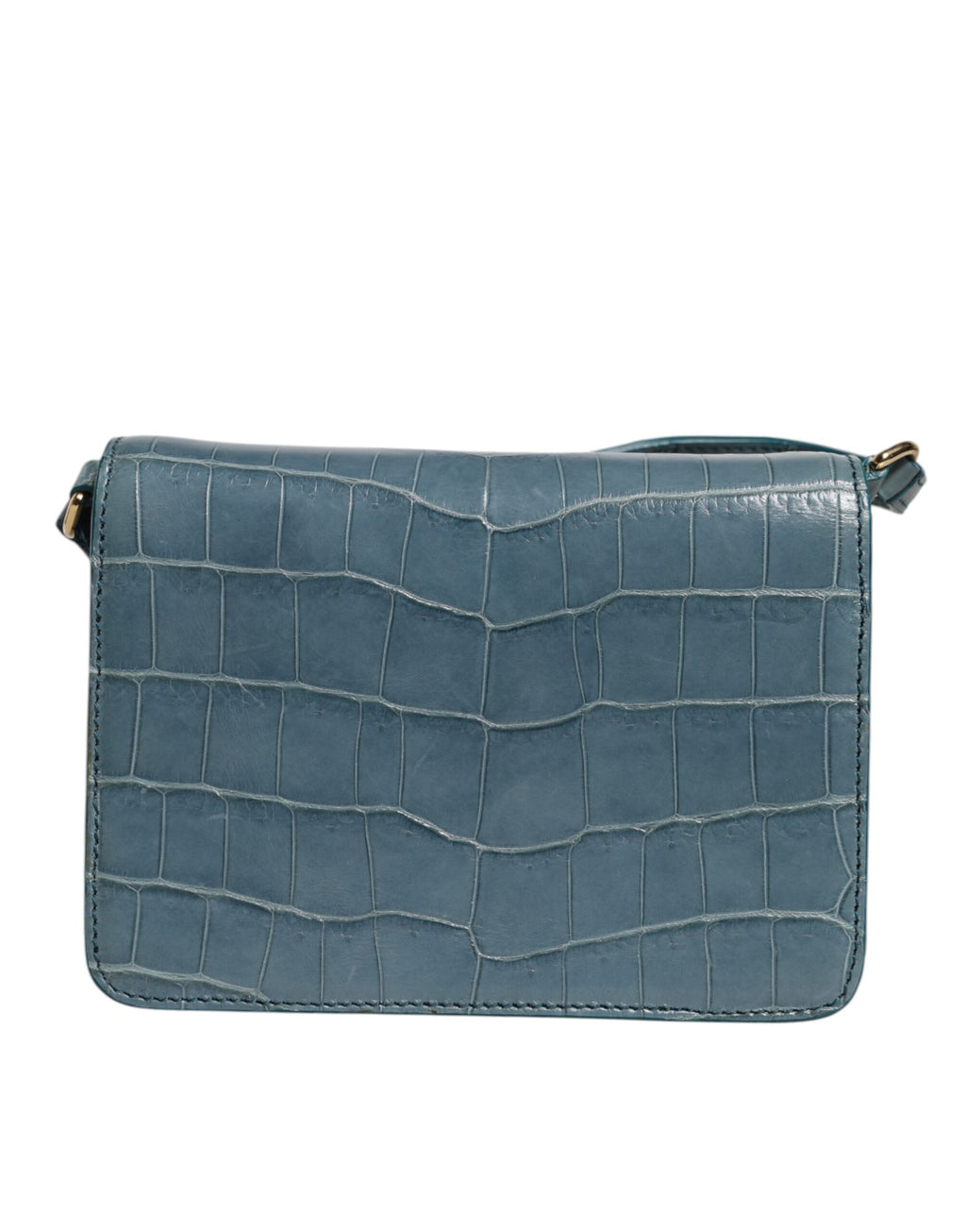 Mini sac bandoulière Dolce & Gabbana en cuir exotique vert avec plaque DG, design élégant et compact.
