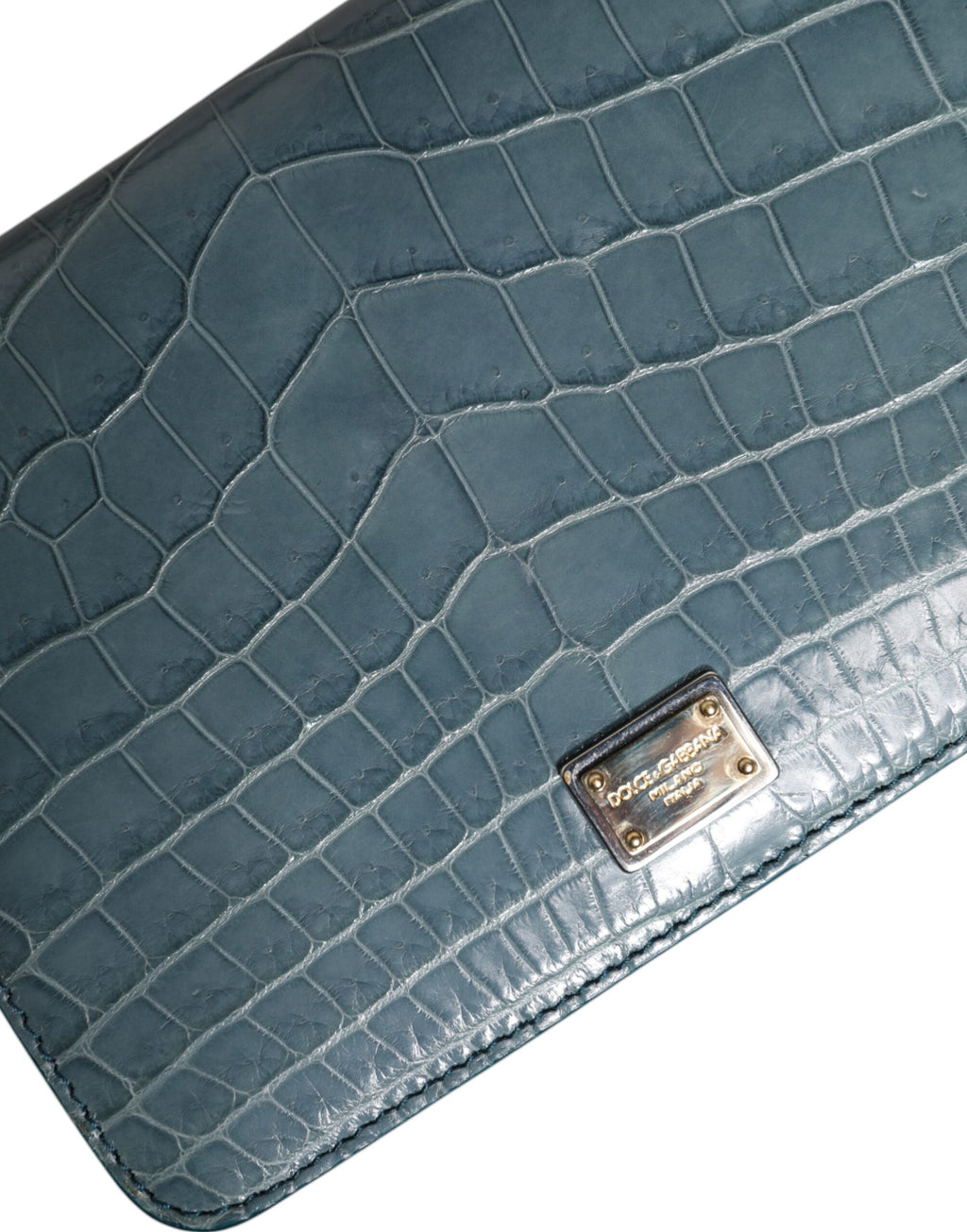 Sac à bandoulière Dolce & Gabbana en cuir exotique vert avec plaque DG, petit format et design élégant.