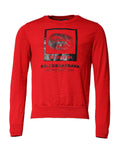 Dolce & Gabbana Roter Pullover mit Augen-Print für Herren