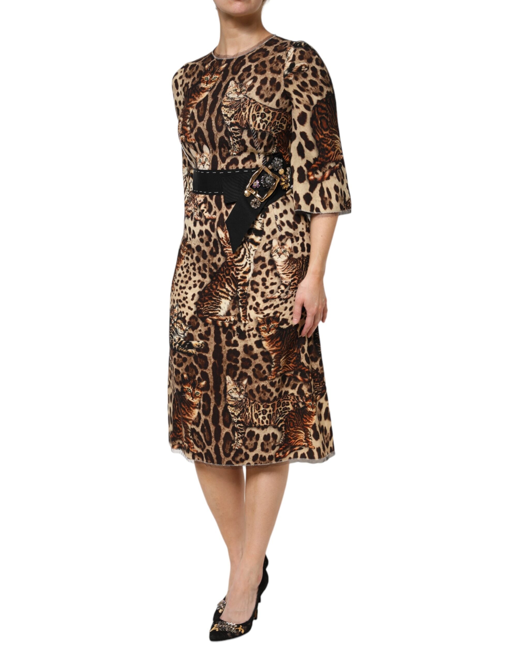 Robe midi évasée à imprimé léopard marron avec ceinture, design Dolce & Gabbana, élégante et tendance.