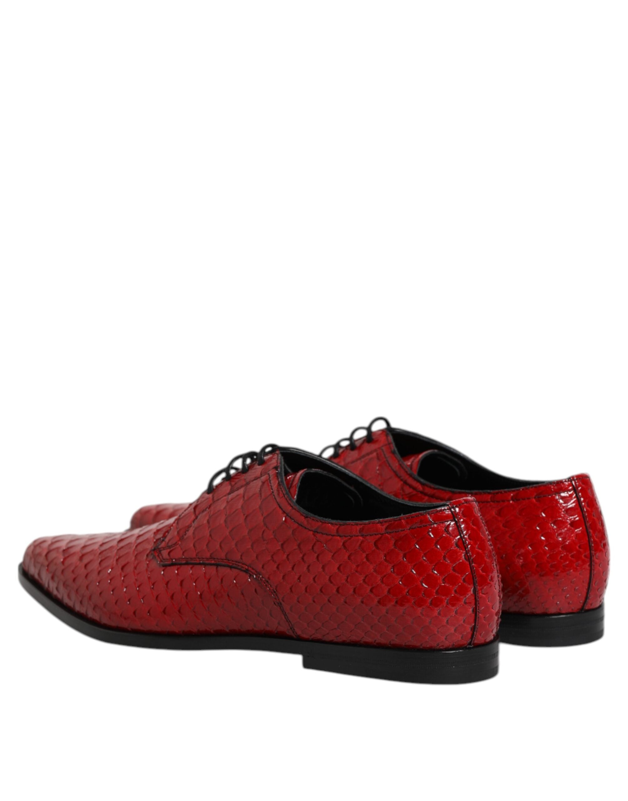 Chaussures Derby en cuir exotique rouge Dolce & Gabbana avec lacets, élégantes et sophistiquées, pour homme.