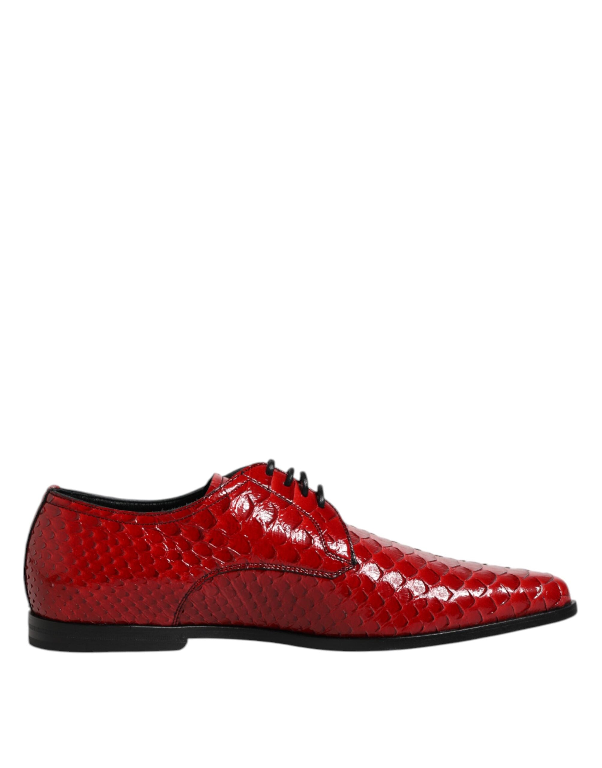 Chaussures Derby Dolce & Gabbana en cuir exotique rouge avec laçage, élégantes et raffinées.