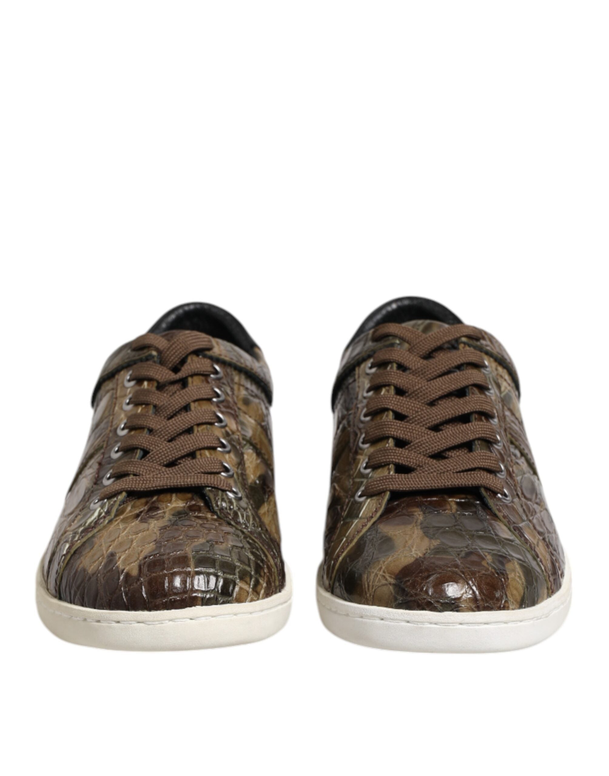 Chaussures sneakers basses Dolce & Gabbana en cuir exotique marron, style décontracté et élégant pour hommes.