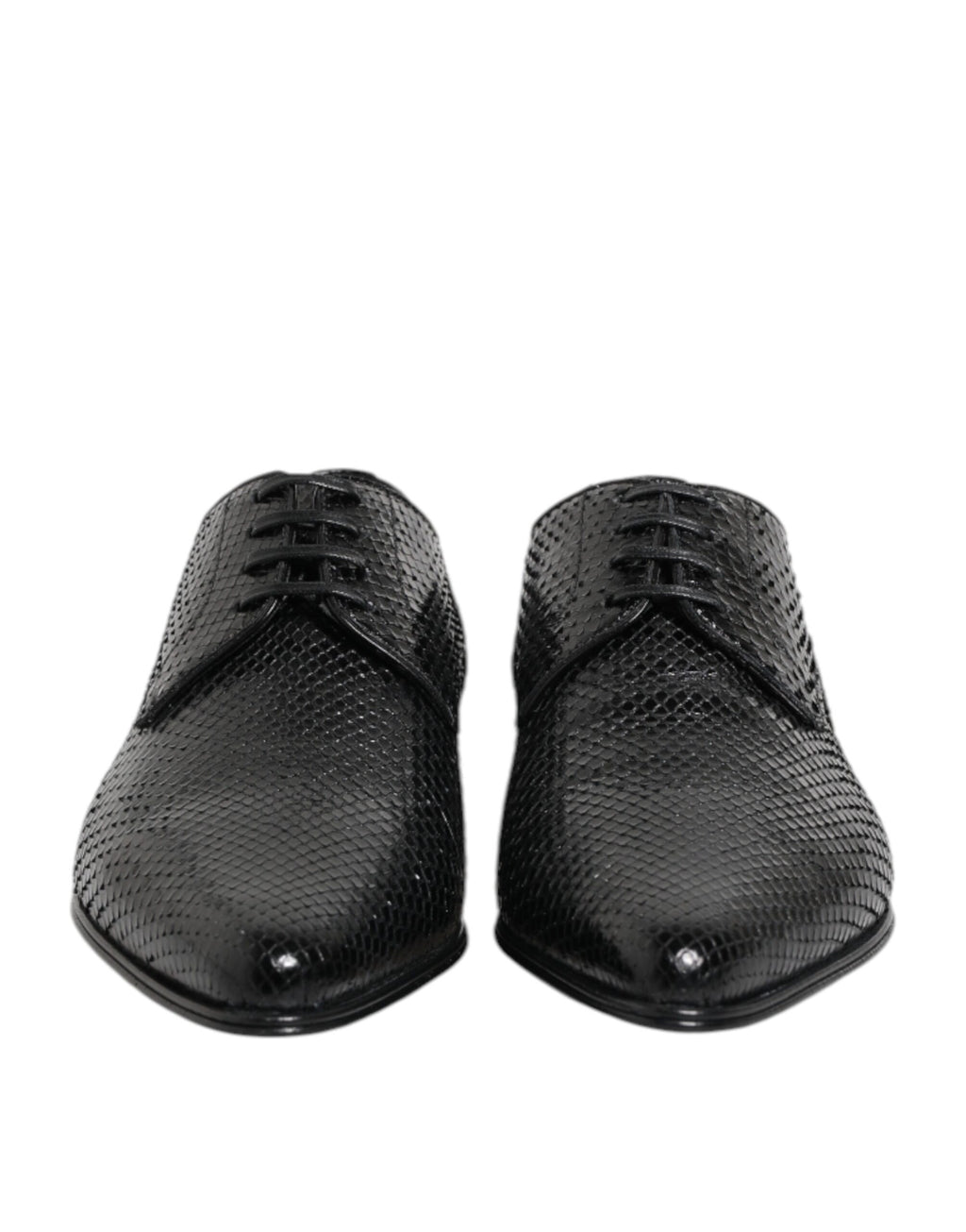 Chaussures Derby Dolce & Gabbana en cuir exotique noir avec lacets, style élégant et sophistiqué pour homme.