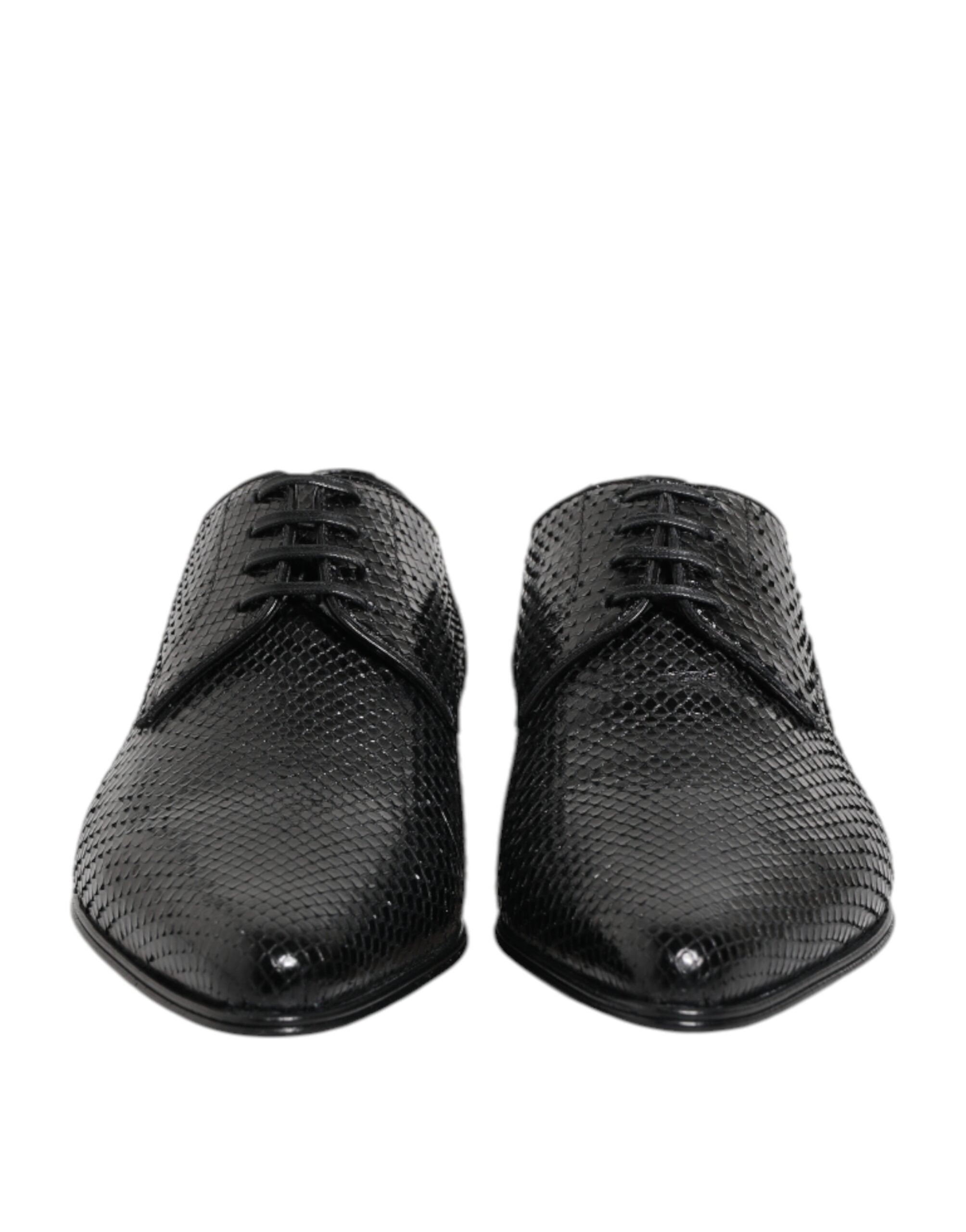 Chaussures Derby Dolce & Gabbana en cuir exotique noir avec lacets, style élégant et sophistiqué pour homme.