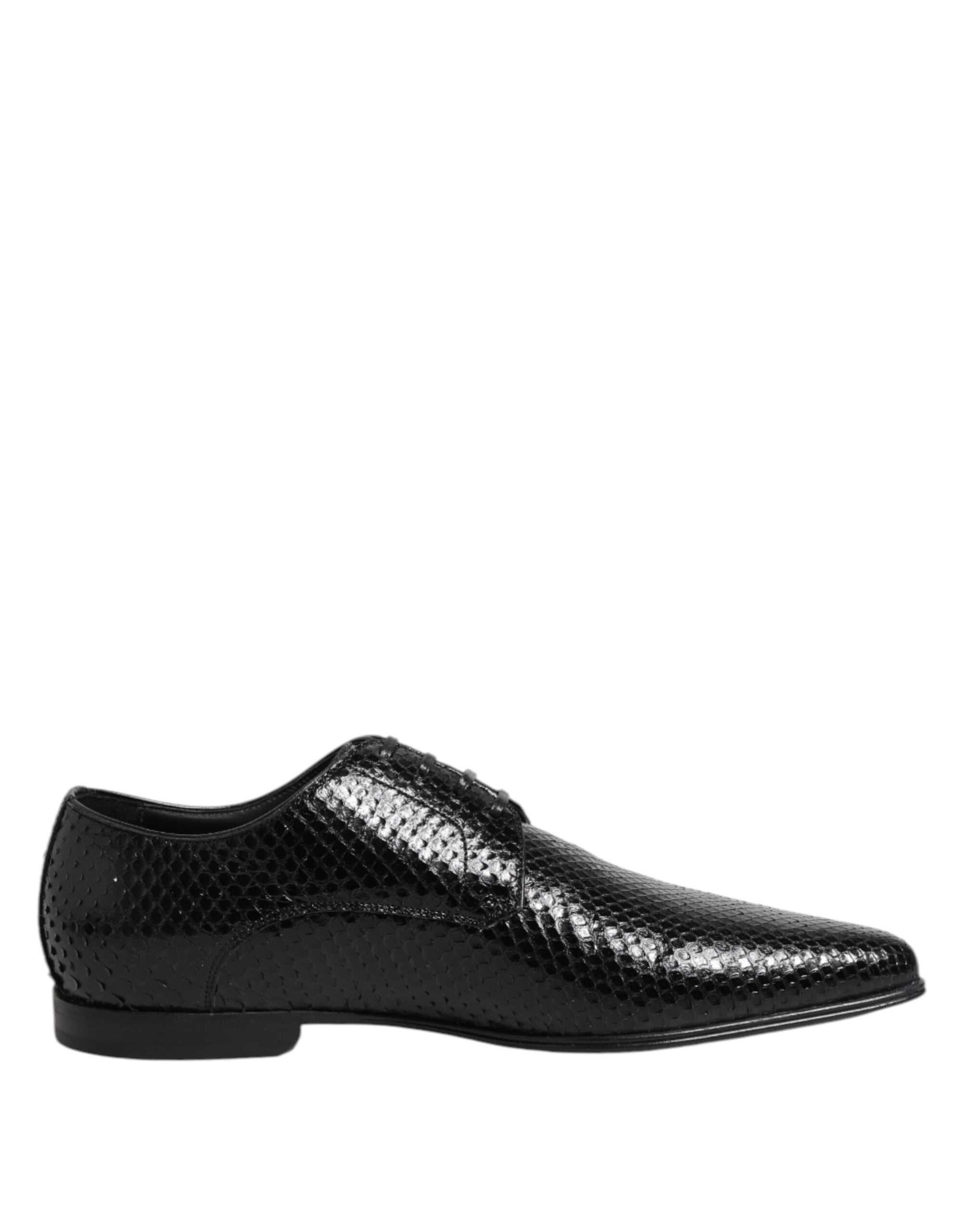 Chaussures Derby Dolce & Gabbana en cuir exotique noir avec lacets, élégantes et sophistiquées pour homme.