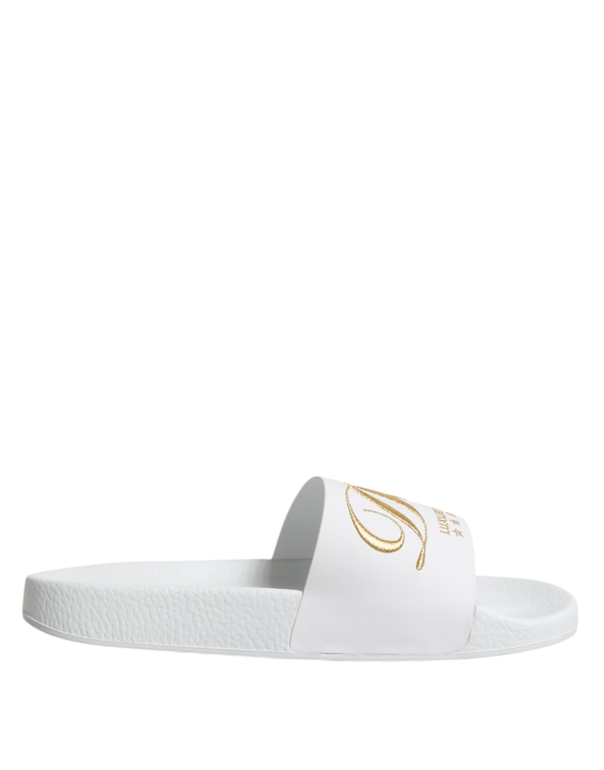 Sandales Dolce & Gabbana en cuir blanc pour la plage, chaussures de bain élégantes avec semelle confortable.