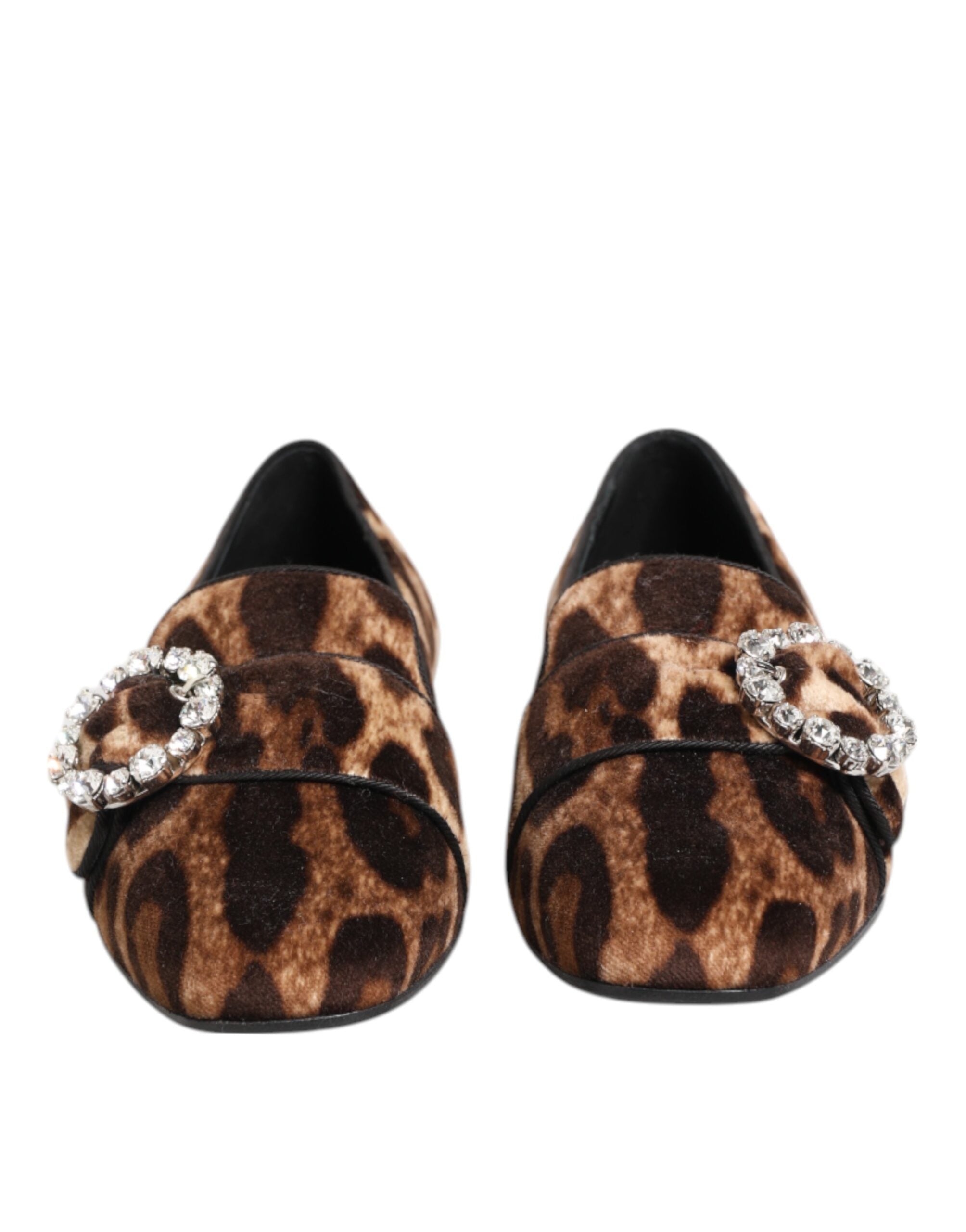 Chaussures mocassins Dolce & Gabbana à imprimé léopard marron avec cristaux, chaussures plates en cuir.