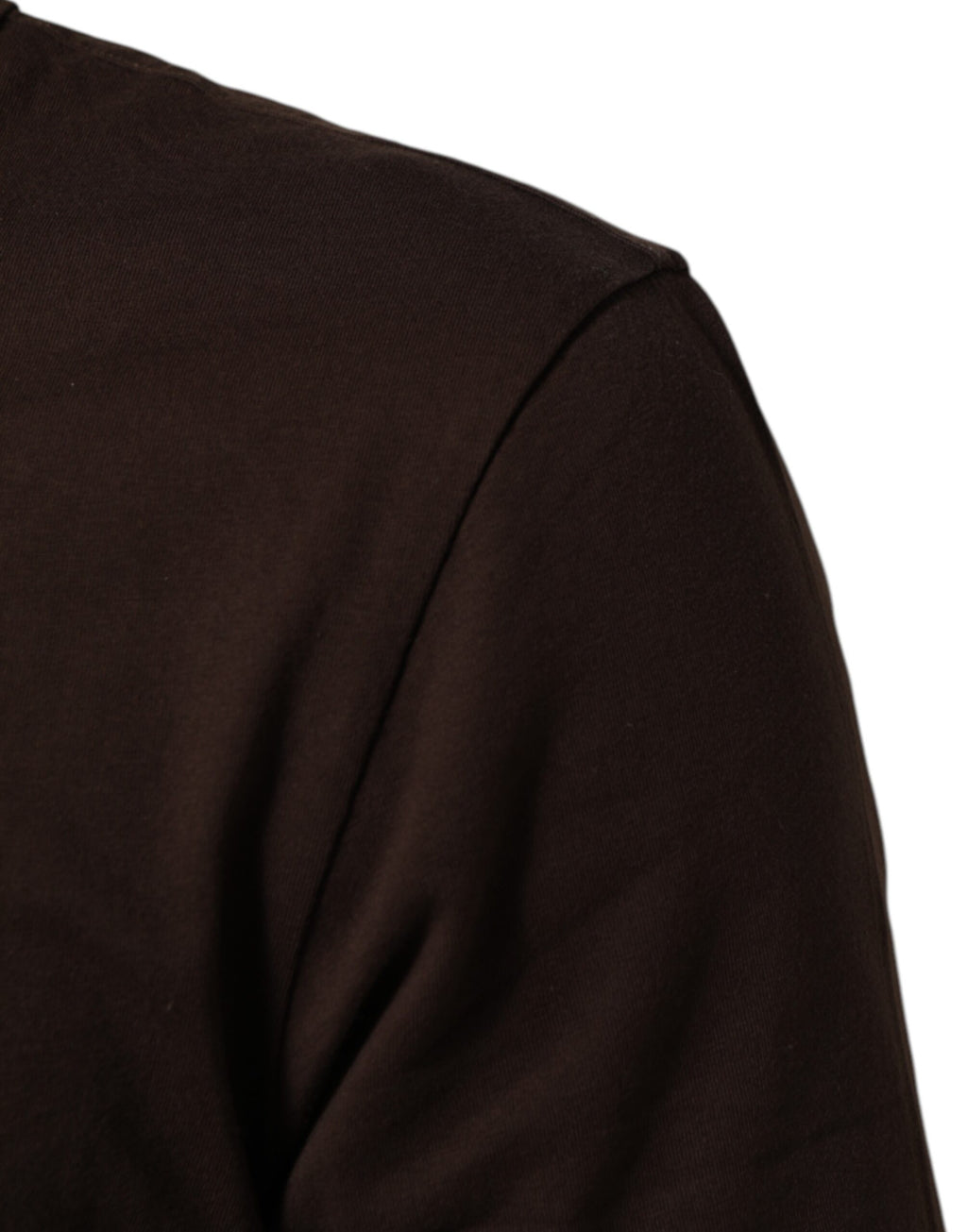 T-shirt homme Dolce & Gabbana brun avec imprimé laurier et pièce de monnaie, col ras du cou, style décontracté.