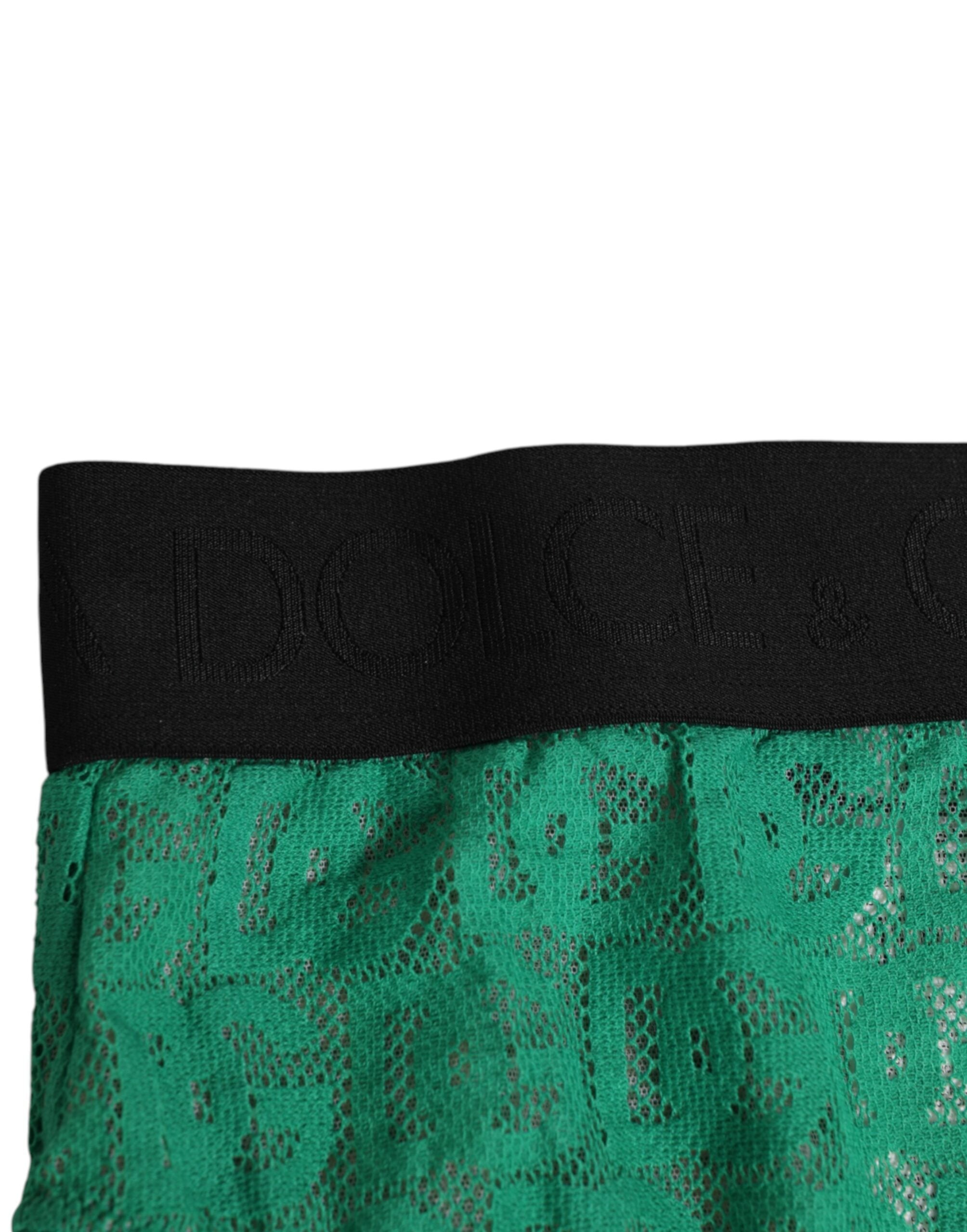 Culotte haute Dolce & Gabbana en dentelle verte avec logo DG, design élégant et sophistiqué.