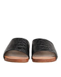 Sandales en cuir noir et marron Dolce & Gabbana, chaussures à bascule élégantes pour femme.