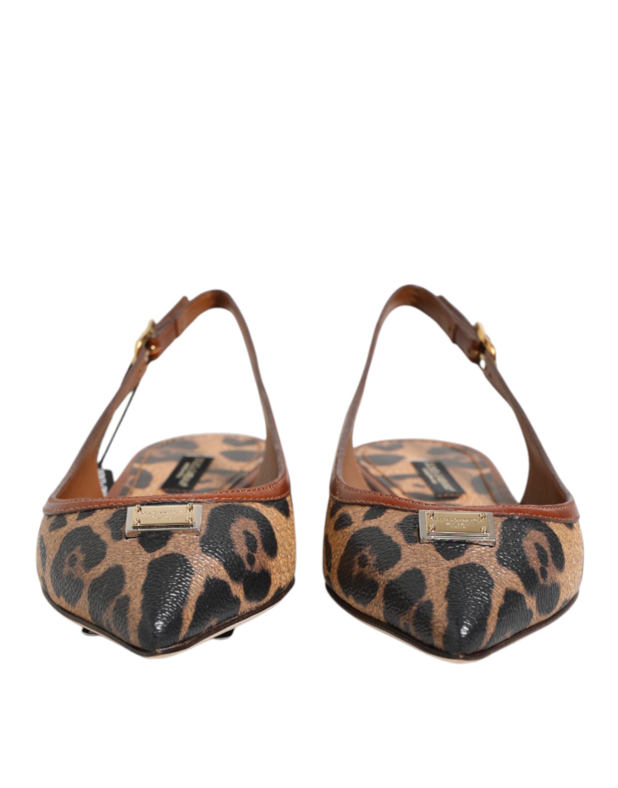 Chaussures Dolce & Gabbana, sandales plates à talon carré en cuir marron avec motif léopard, design élégant et tendance.