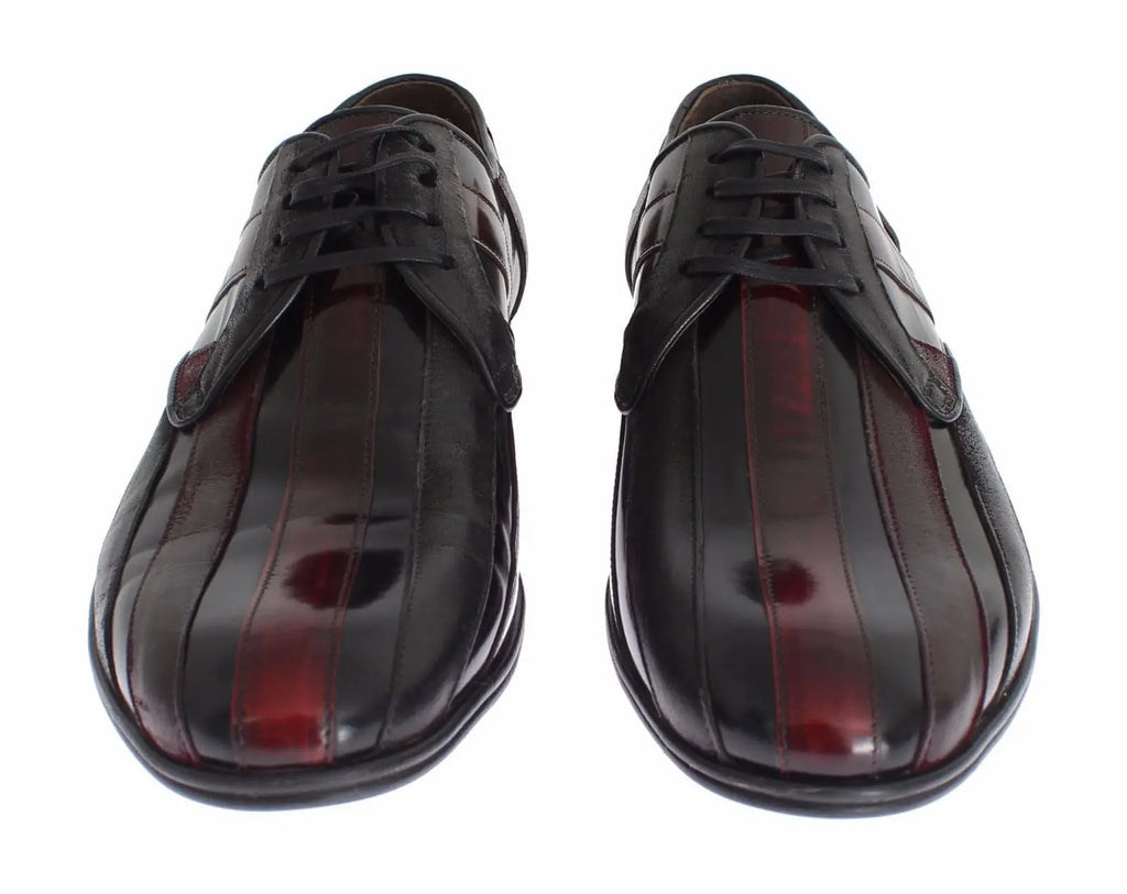 Dolce & gabbana derby en cuir verni noir et bordeaux avec finition brillante pour tenue formelle