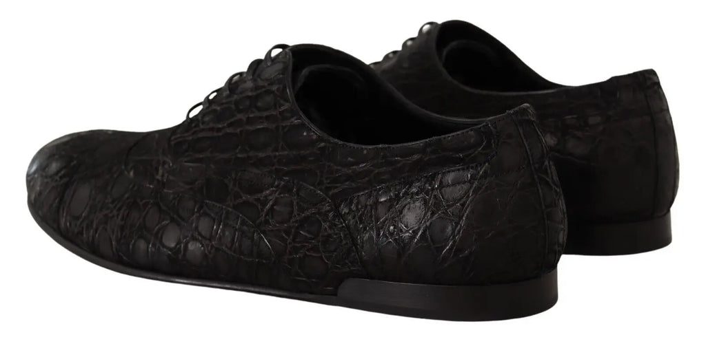 Dolce & gabbana chaussures oxford pour hommes en cuir caïman noir à lacets embossé crocodile