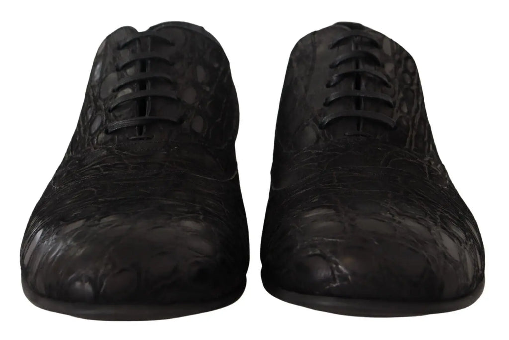 Chaussures derby homme dolce & gabbana en cuir caïman noir embossé avec lacets