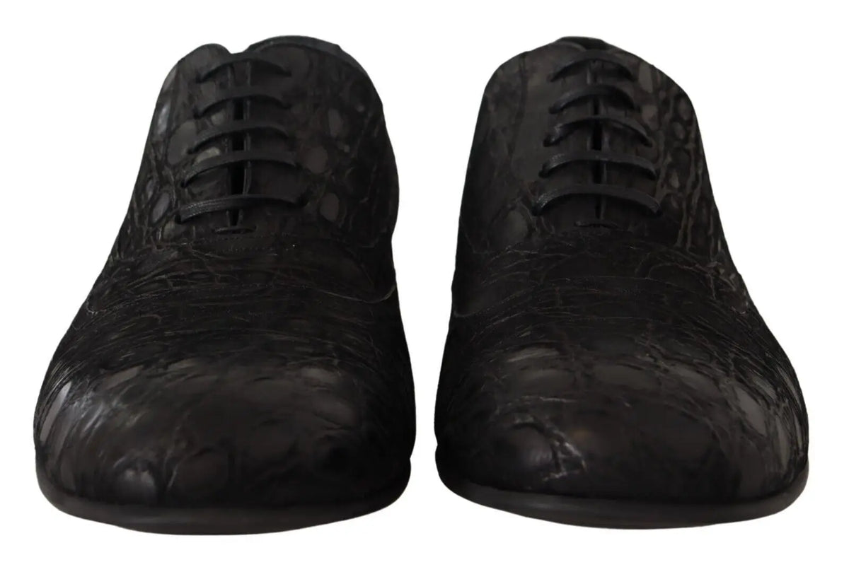 Chaussures derby homme dolce & gabbana en cuir caïman noir embossé avec lacets