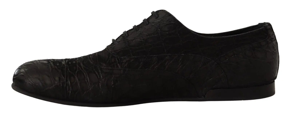 Dolce & gabbana chaussures oxford pour homme en cuir caïman noir embossé crocodile avec lacets classiques