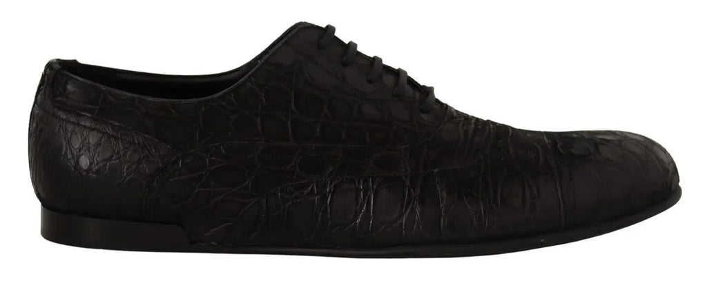 Dolce & gabbana chaussure oxford homme en cuir caïman noir avec embossage crocodile et lacets