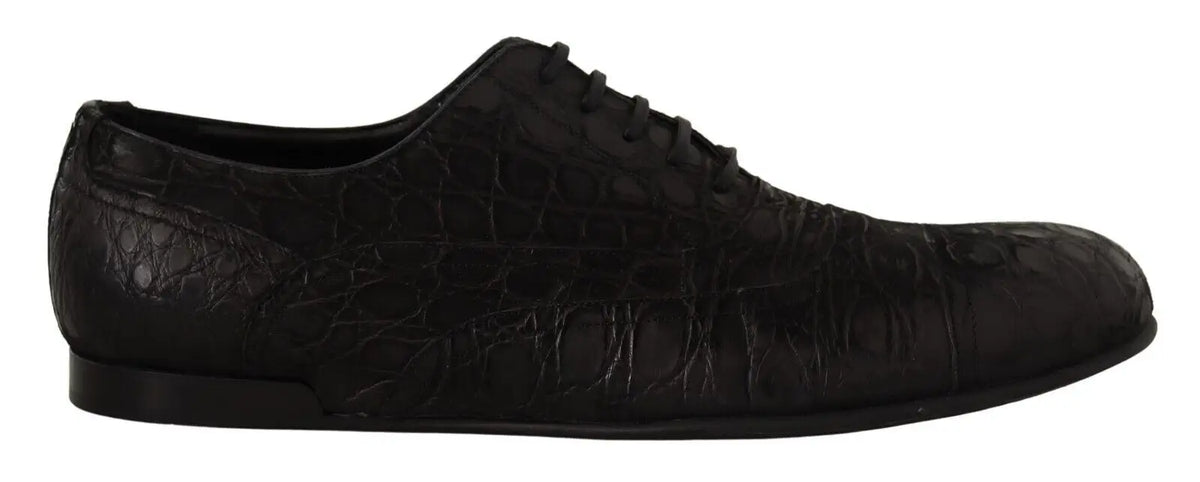 Dolce & gabbana chaussure oxford homme en cuir caïman noir avec embossage crocodile et lacets