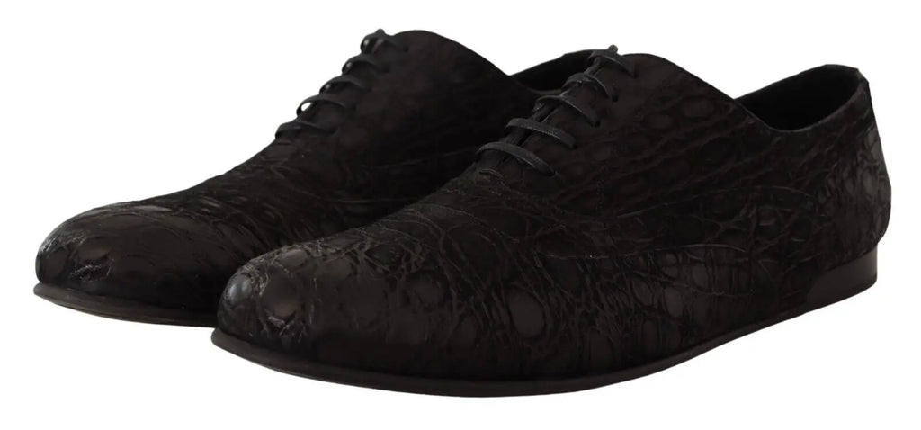 Dolce & gabbana chaussures oxford homme en cuir caïman noir à effet croco avec lacets noirs