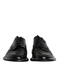 Dolce & gabbana chaussures derby wingtip en cuir noir avec finitions brogue et brillant pour tenue formelle