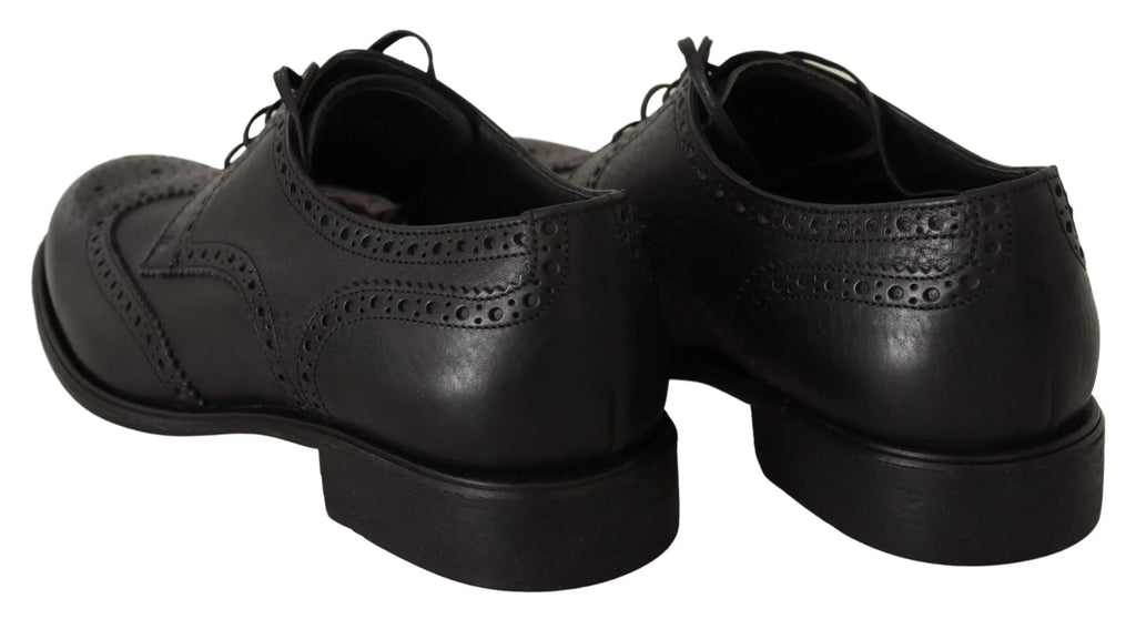 Dolce & gabbana chaussures oxford en cuir noir avec perforations et finition classique polie pour tenue formelle