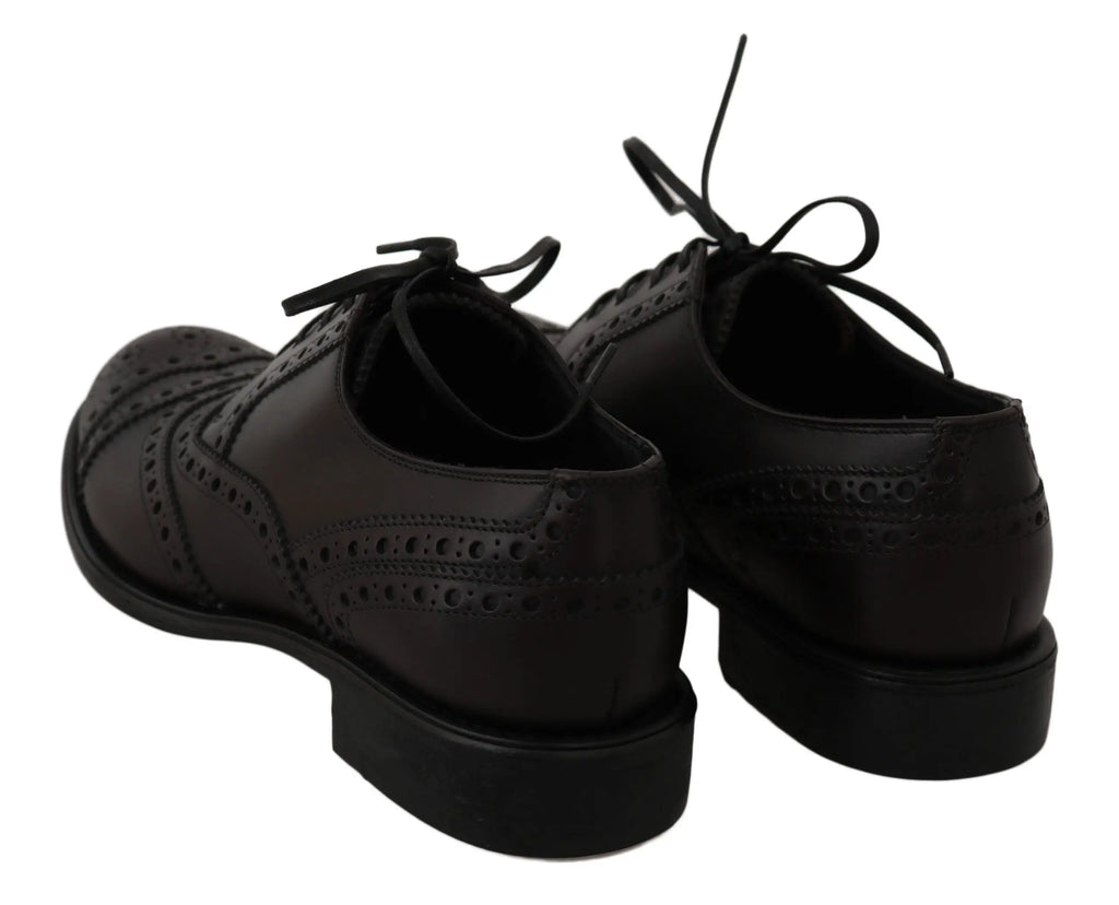 Dolce & gabbana chaussures habillées oxford en cuir noir avec perforations et lacets style brogue