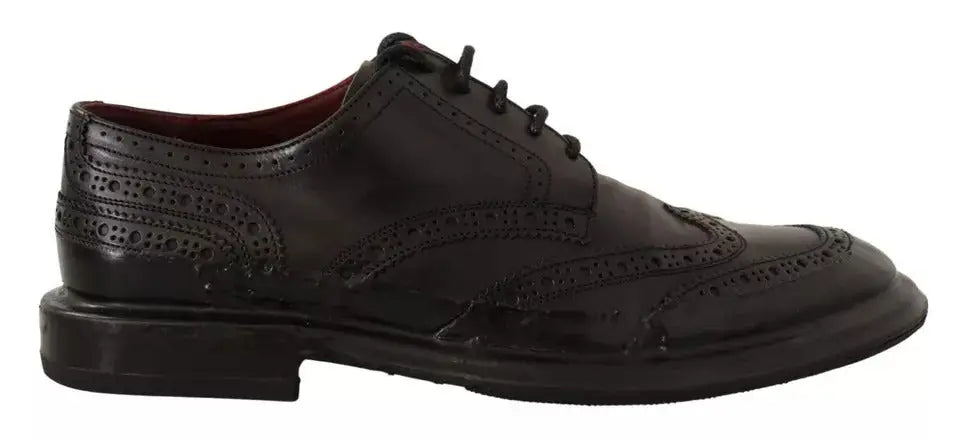 Dolce & gabbana derby noir en cuir perforé avec finition brillante et détail brogue élégant