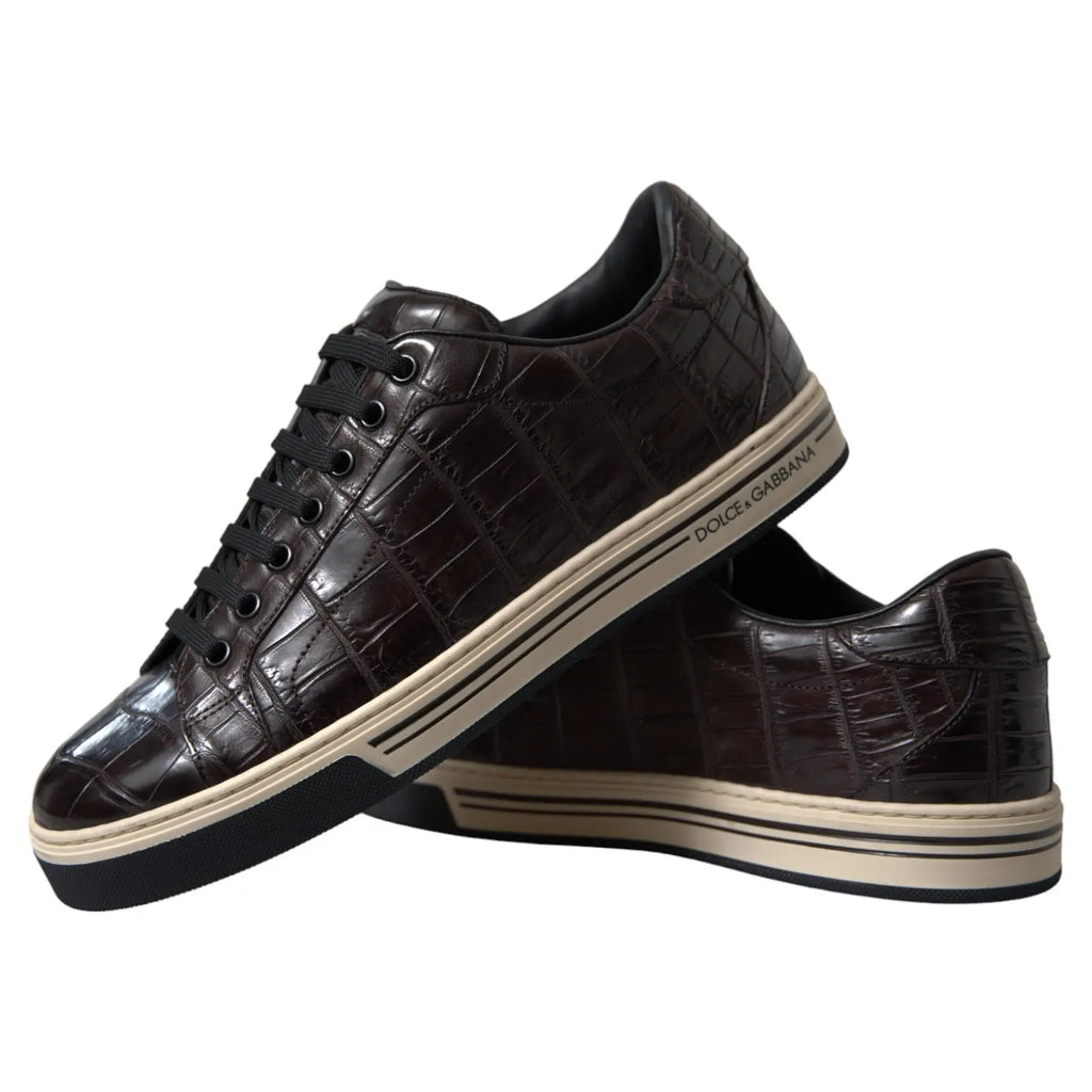Baskets basses dolce & gabbana pour homme en cuir exotique marron embossé crocodile avec semelles rayées crème et noir