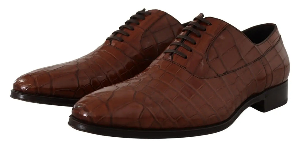 Dolce & gabbana chaussures derby formelles pour homme en cuir embossé crocodile marron avec lacets noirs et petit talon