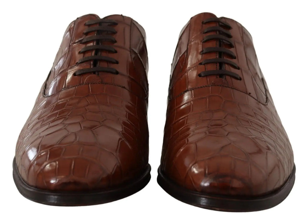 Dolce & gabbana chaussures derby homme en cuir marron embossé crocodile avec lacets noirs pour occasions formelles