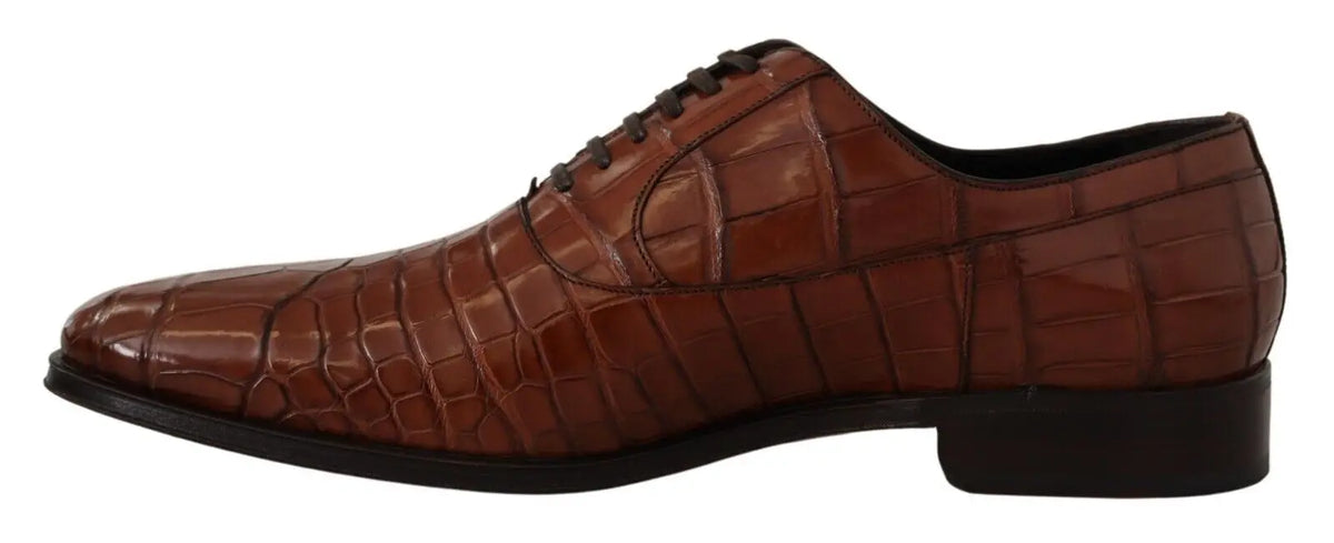 Chaussure derby homme formelle dolce & gabbana en cuir marron embossé crocodile avec lacets noirs et semelle en caoutchouc marron foncé