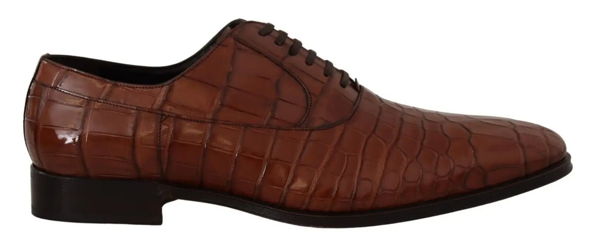 Chaussure derby formelle homme dolce gabbana en cuir marron embossé crocodile avec semelle et lacets noirs