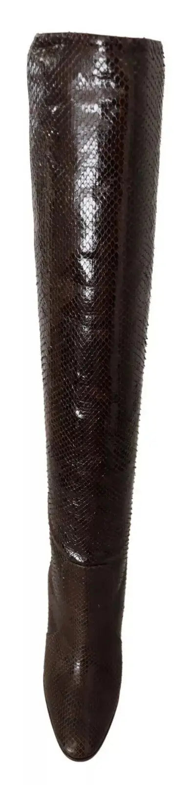 Bottes hautes dolce & gabbana en cuir exotique marron avec texture peau de serpent et bout pointu élégant