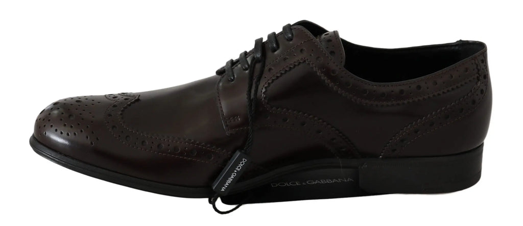 Dolce & gabbana chaussures oxford brogues en cuir marron foncé avec lacets noirs et détails perforés
