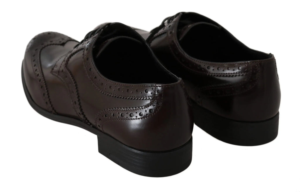 Chaussures derby wingtip brogues en cuir marron foncé dolce & gabbana avec détails perforés et talon bas
