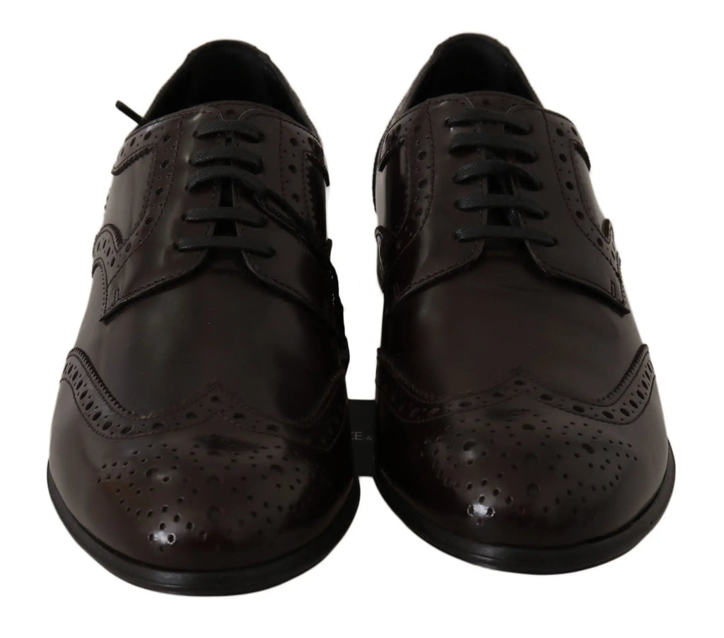 Une paire de chaussures brogues oxford wingtip en cuir marron foncé avec des détails perforés raffinés de dolce & gabbana