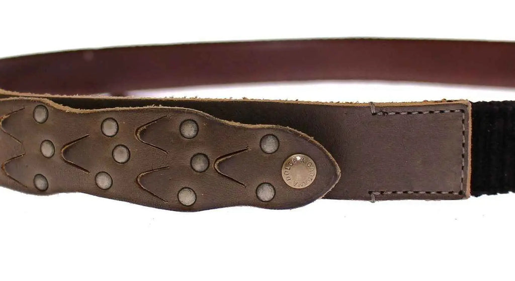 Ceinture Dolce & Gabbana marron en cuir avec boucle décorative embossée et clous circulaires