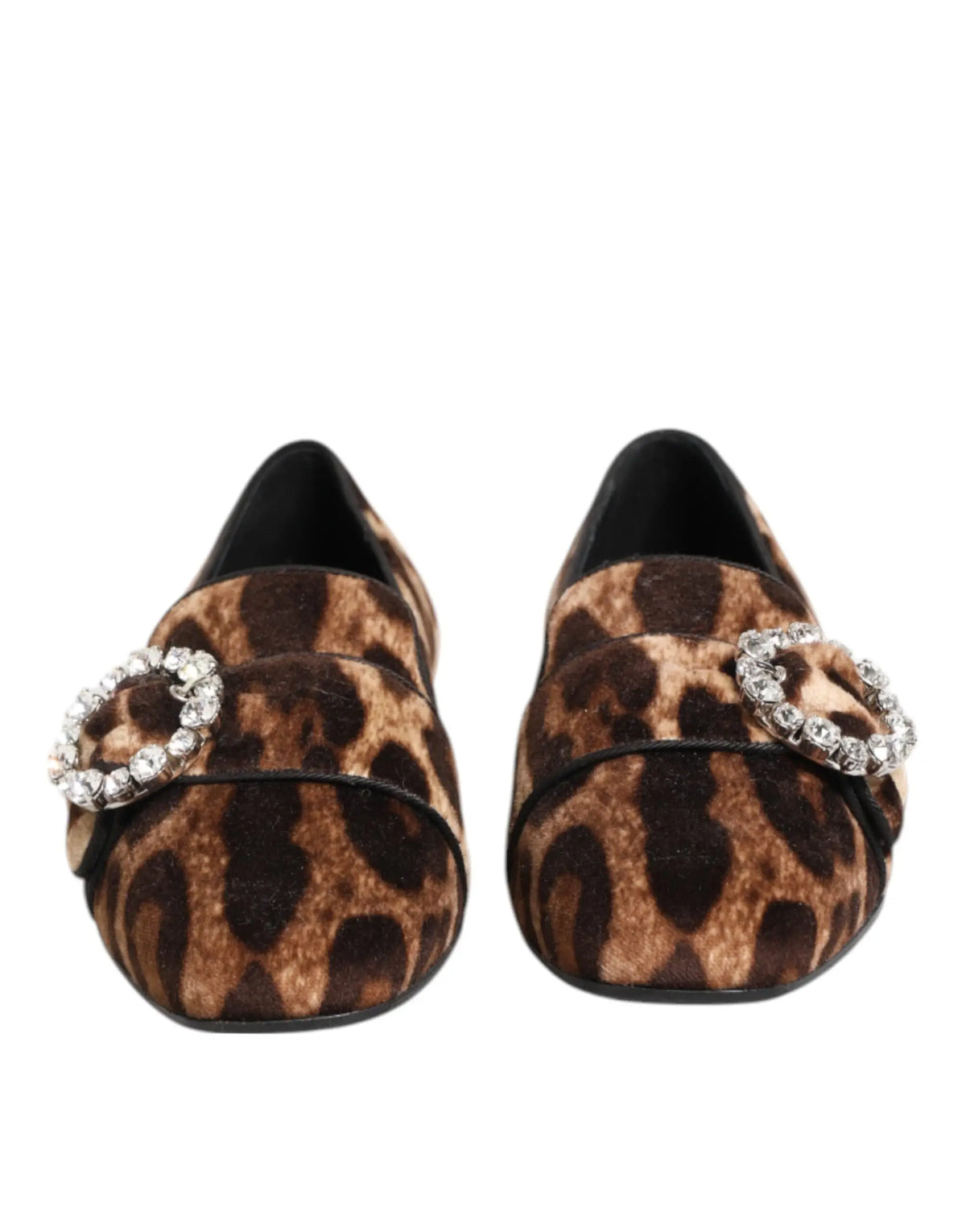 Dolce & gabbana chaussures plates marron en velours imprimé léopard avec boucles circulaires incrustées de cristaux
