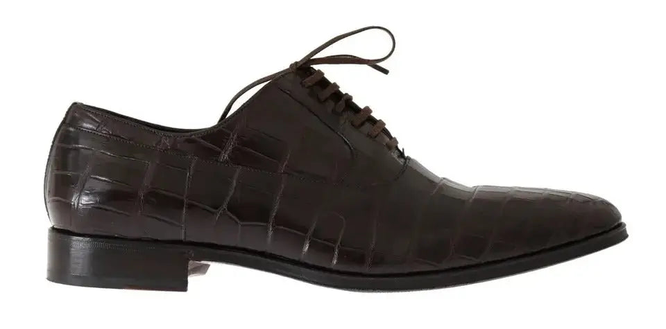 Chaussure derby en cuir brun embossé croco avec lacets assortis et talon bas dolce gabbana pour homme