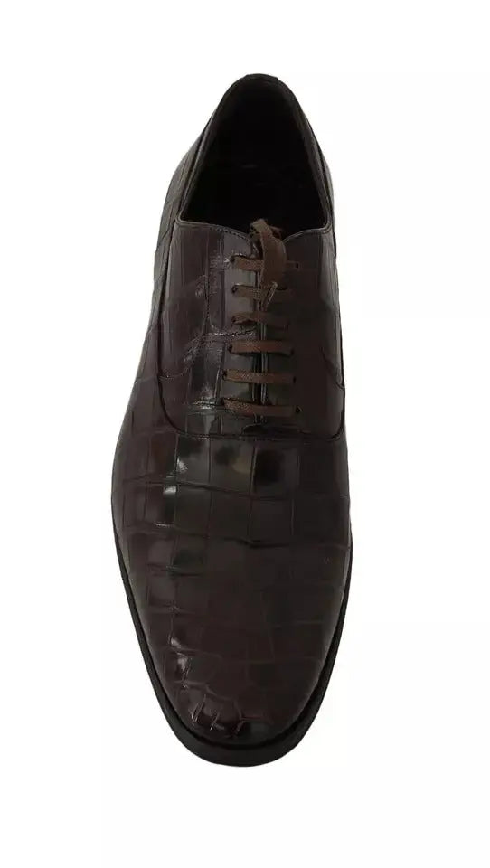 Chaussure derby en cuir embossé crocodile marron foncé dolce & gabbana pour tenue formelle