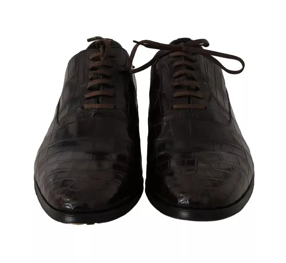 Dolce & gabbana marron chaussures habillées en cuir embossé crocodile à lacets assortis