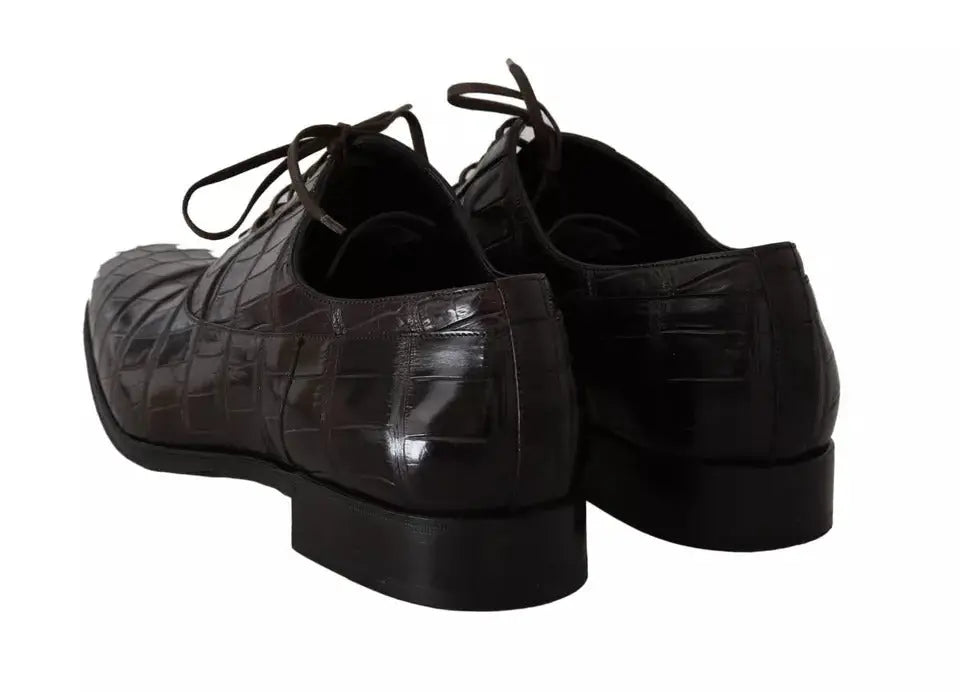Chaussures habillées en cuir marron à motif dolce & gabbana avec embossage crocodile noir et lacets
