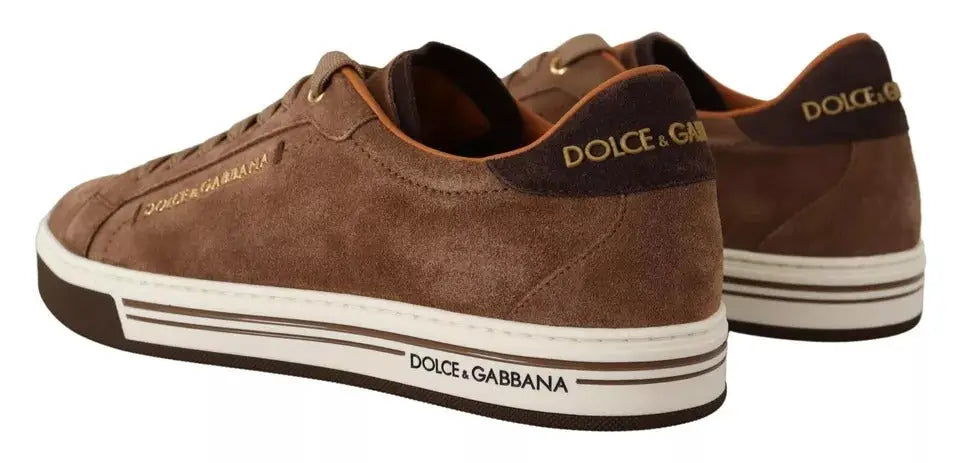 Baskets dolce & gabbana homme en daim marron avec semelles rayées blanches et noires basses à logo