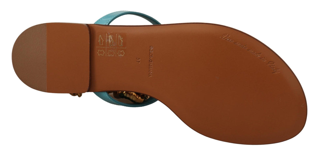 Sandales plates en cuir bleu Dolce & Gabbana Devotion, chaussures élégantes pour femmes, vue en gros plan.
