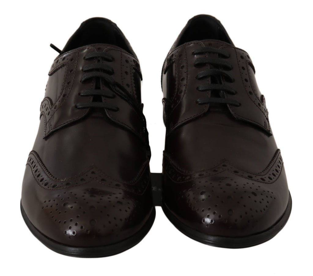 Chaussures brogues en cuir marron Dolce & Gabbana, oxford wingtip élégantes et sophistiquées, vue de face.