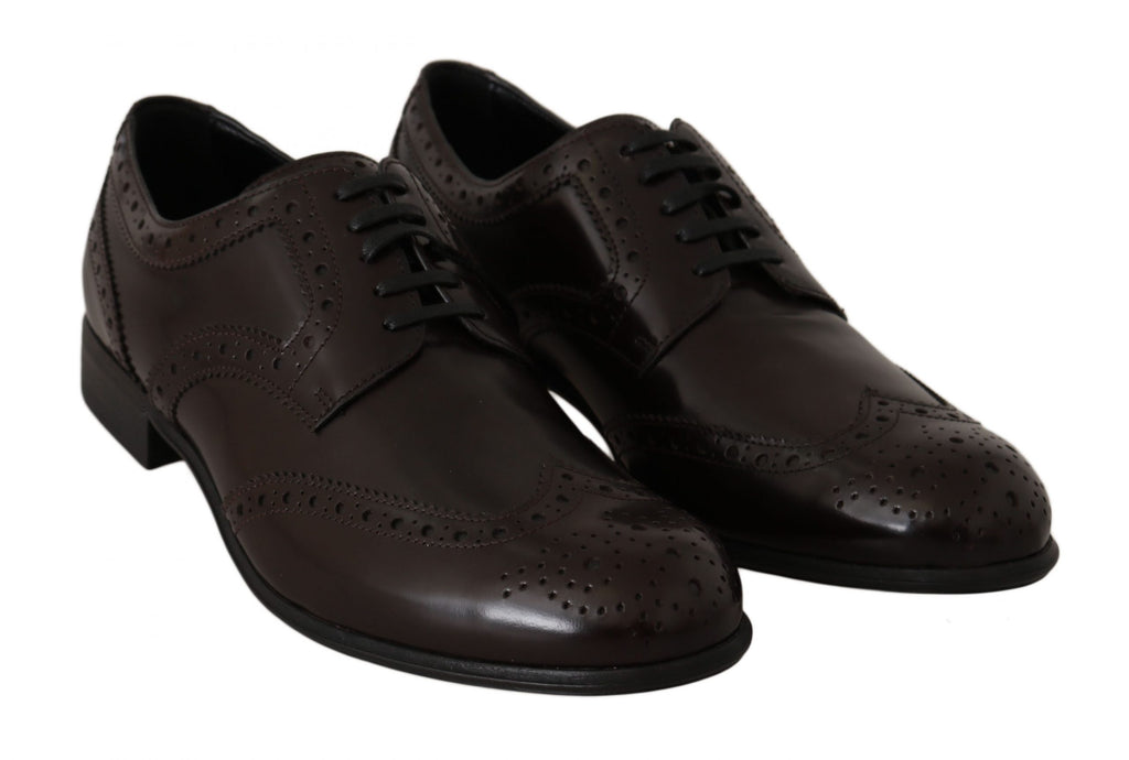 Chaussures brogues en cuir marron Dolce & Gabbana, oxford wingtip, élégantes et sophistiquées pour homme.