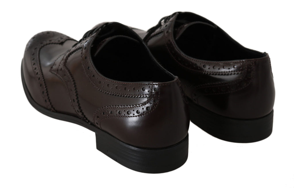 Chaussures brogues en cuir marron Dolce & Gabbana, chaussures Oxford Wingtip pour homme, détails en cuir lisse et finition élégante